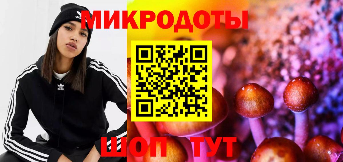Галлюциногенные грибы Psilocybe  Псилоцибиновые грибы Psilocybe  где можно купить   Вход с VPN  Пенза 